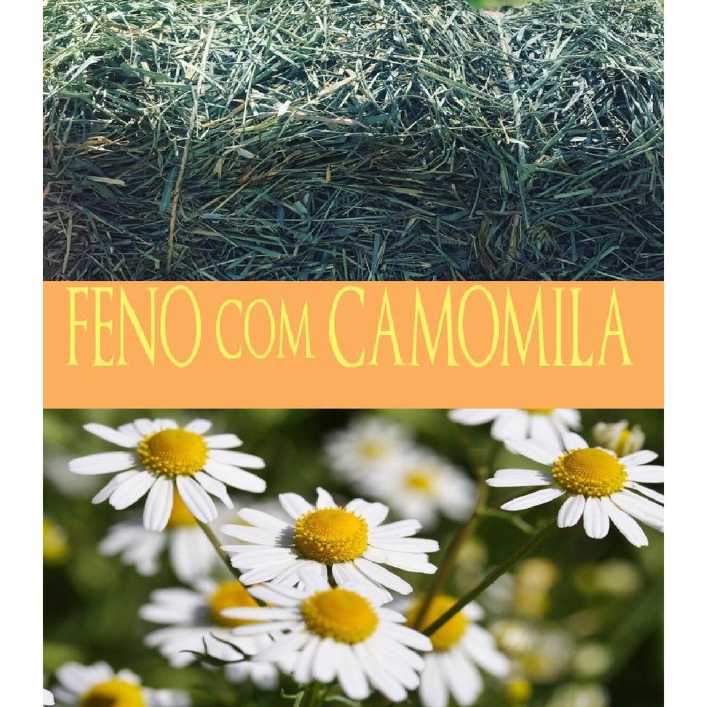Feno Coast Cross com Camomila - 500g NUTRIPANSPETS