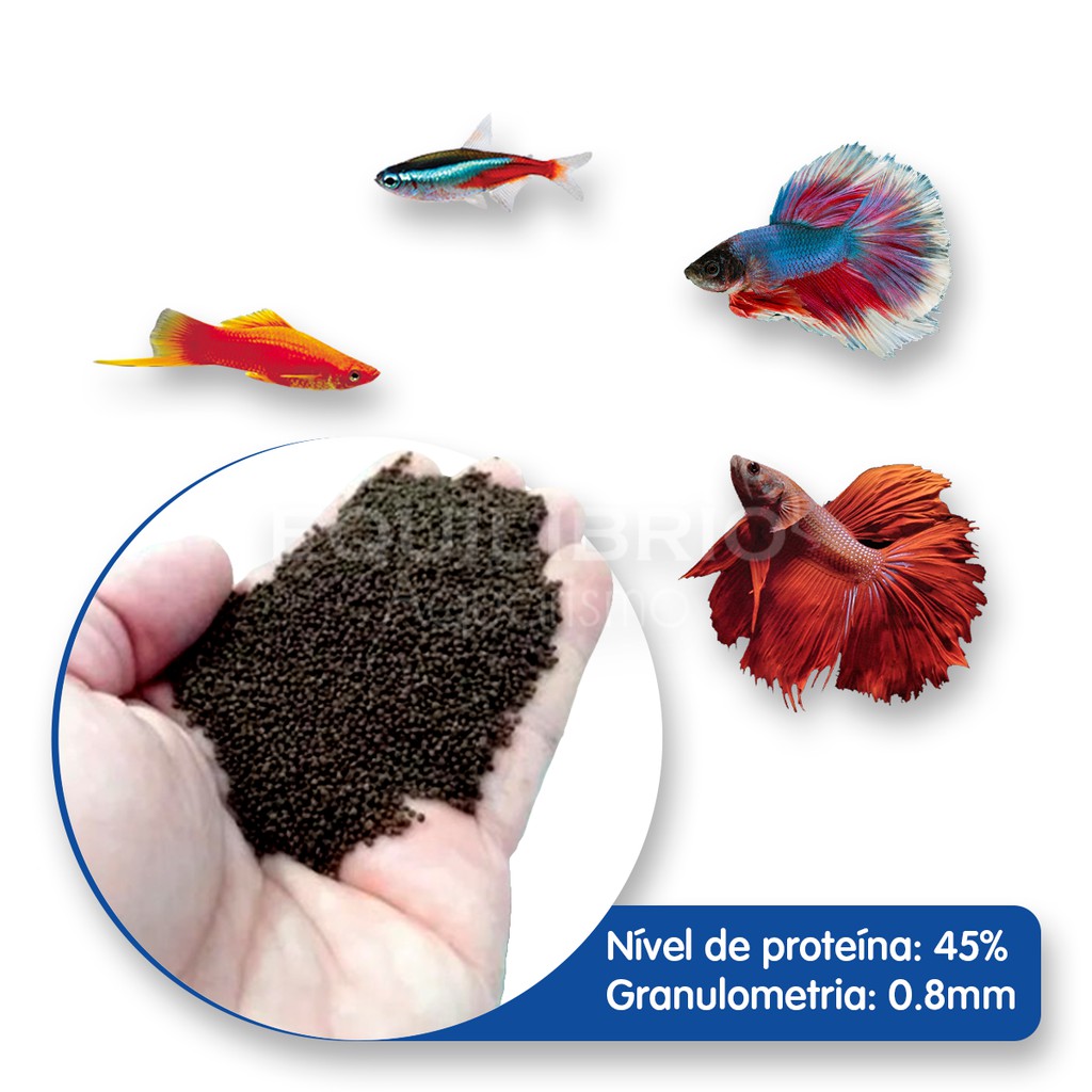 Ração para Bettas, Espadas, Guppies e outros (45% Proteína)- 1kg