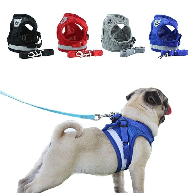 Peitoral e Guia para Cachorro Coleira Para Caes E Gatos Regulavel  Confortavel para Pet Ajustavel