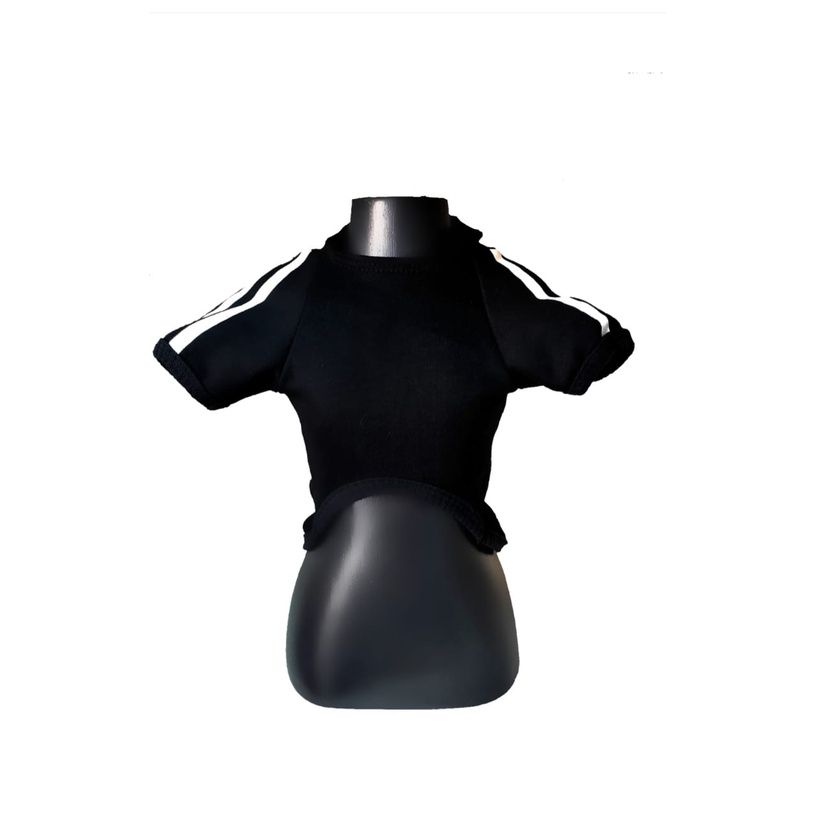 busto PET