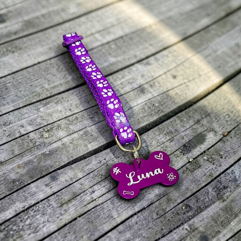 Coleira Cachorro Pequeno Coleira Pet Mini Com Nome Personalizado Coleira Gato