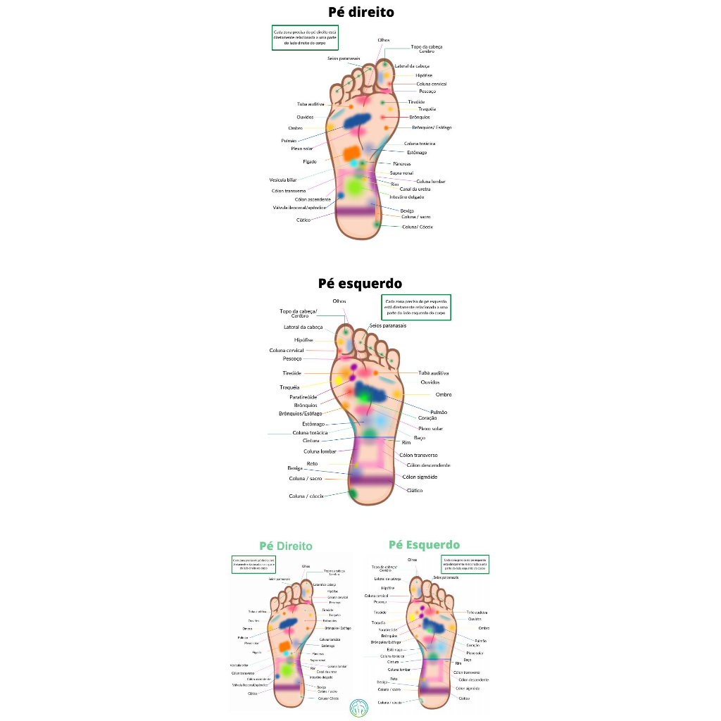 Mapa Reflexologia Podal A4 Áreas Correspondente Dos Pés Plastificado