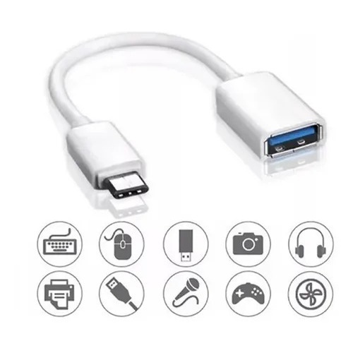 Cabo Adaptador Otg Fêmea x Tipo C Type C Pendrive Usb 3.0 Celular