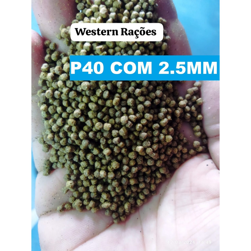 ATÈ 5KG Raçao Supra Peixe 42% Proteina - P40 - com 2.5mm - Carpas - Kinguios - Beta - tartarugas - tigre dàgua