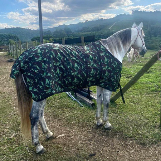 Capa de inverno estampada com forro para cavalos e éguas e equinos em geral