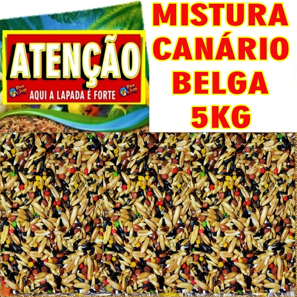 Mistura De Sementes Para Canário Belga Premium 5kg - Bico de Ouro