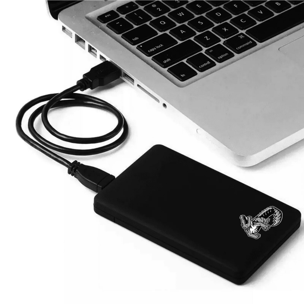 HD Externo 500GB Portatil USB 3.0 Slim Notebook PC PS4 PS5 Xbox