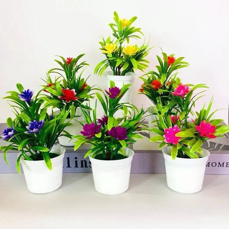 Kit 3 Vasinho De Plástico Branco Decorativo Para Plantas Suculentas Enfeite