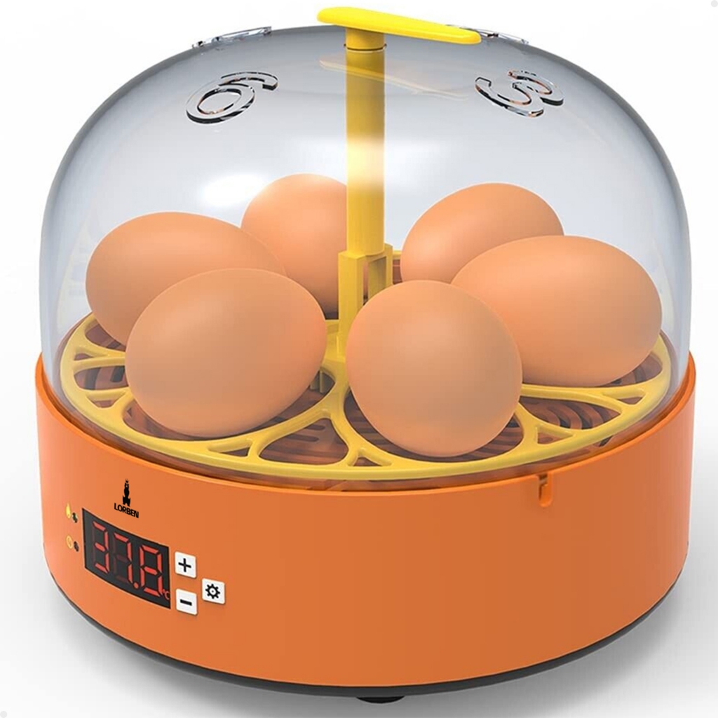 Mini Chocadeira Incubadora Lorben Bivolt Semiautomática até 6 Ovos Galinha Pato Codorna
