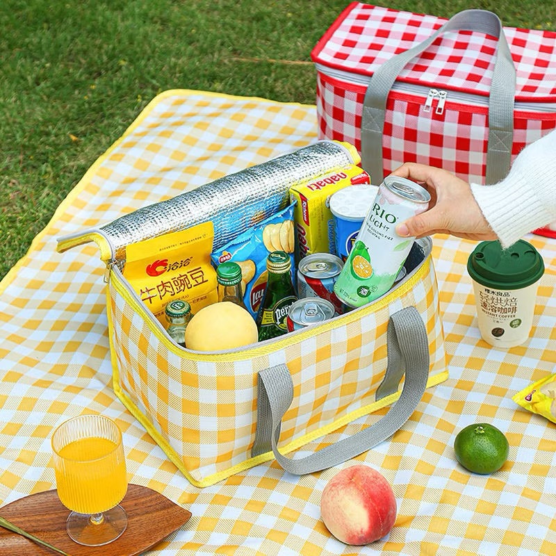 Bolsa Térmica Portátil Cesta Piquenique Praia Camping Retrátil 13Litros