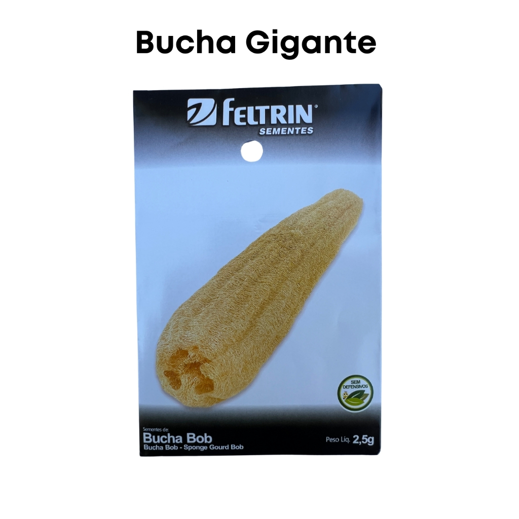 Até 45 Sementes de Bucha Gigante Bob - Feltrin