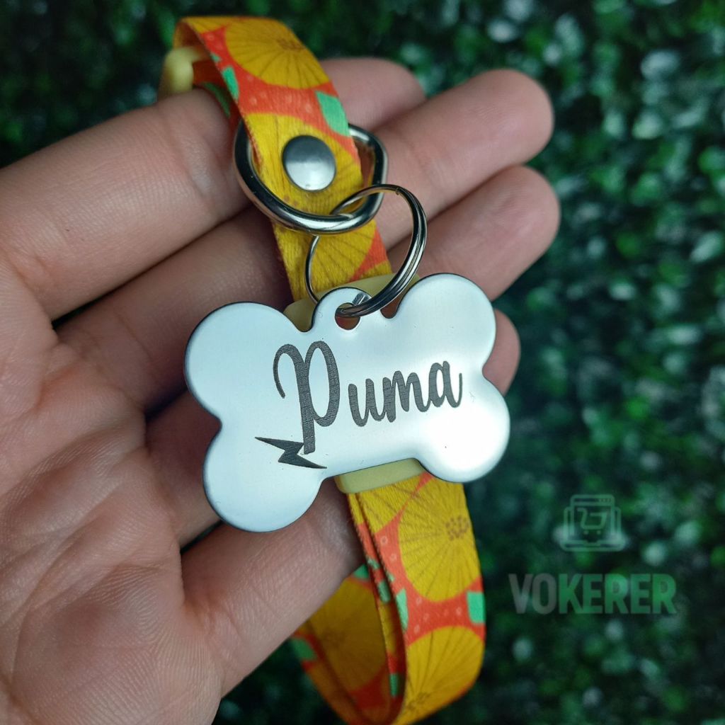 Coleira para Cachorro Medio com Nome Plaquinha de Identificação