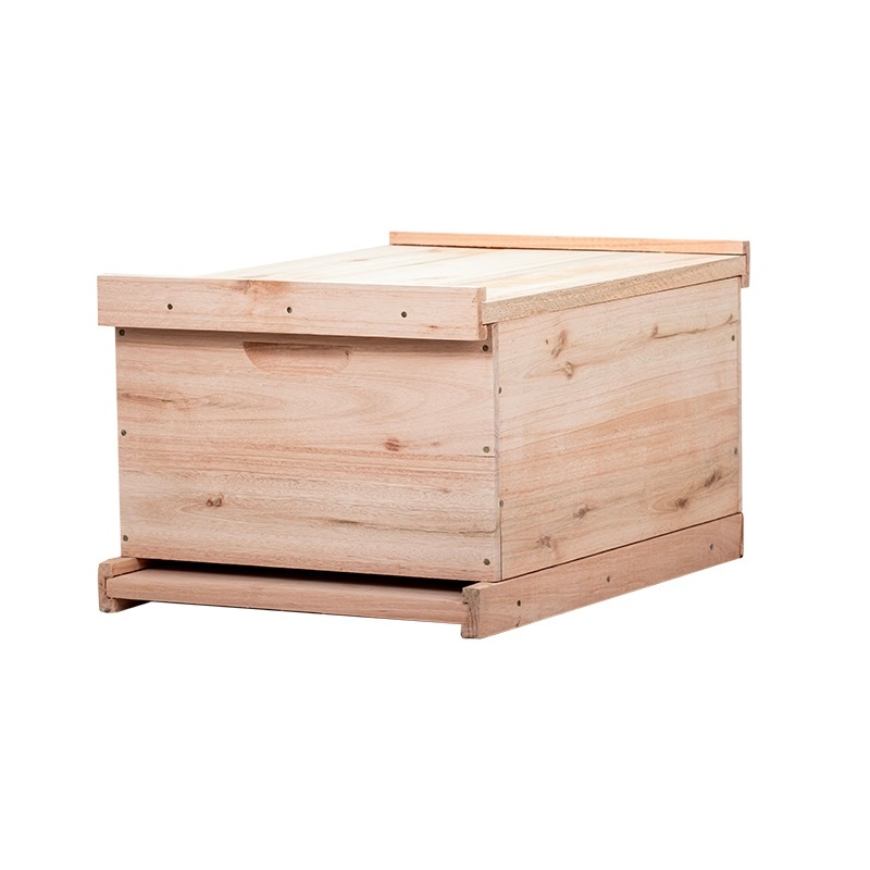 Caixa para Abelhas Langstroth Eucalipto Ninho 24cm sem arame