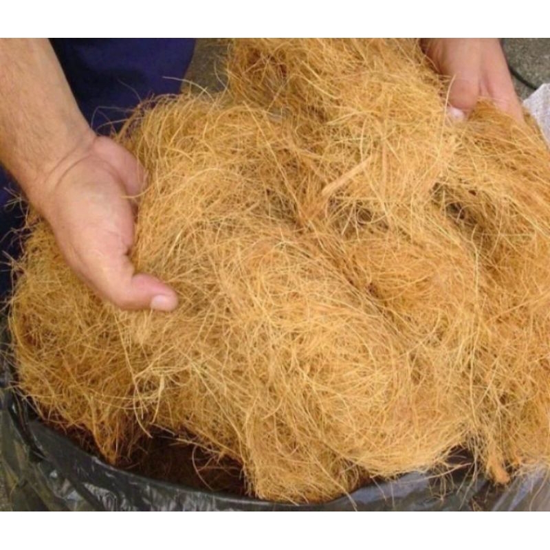 2 Litros- Fibra de coco longa lavada para ORQUÍDEA E ARTESANATO