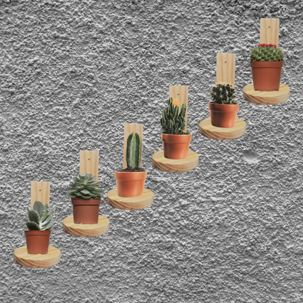 KIT 6 Prateleiras decorativas nicho de parede suporte de madeira pinus para vasos suculenta Pinus
