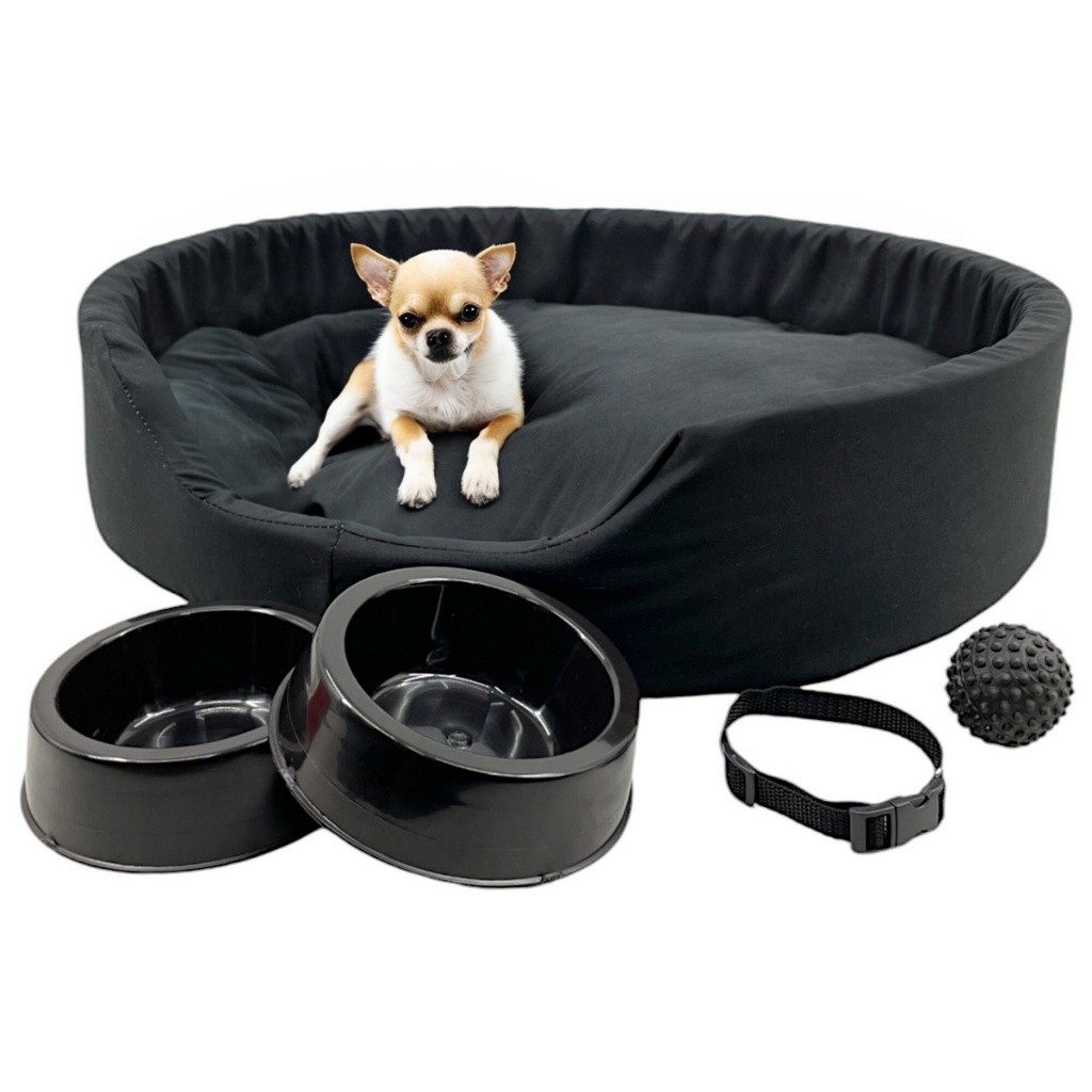 Kit Cama Europa Pet Pequeno Potes Água Ração Coleira Bolinha