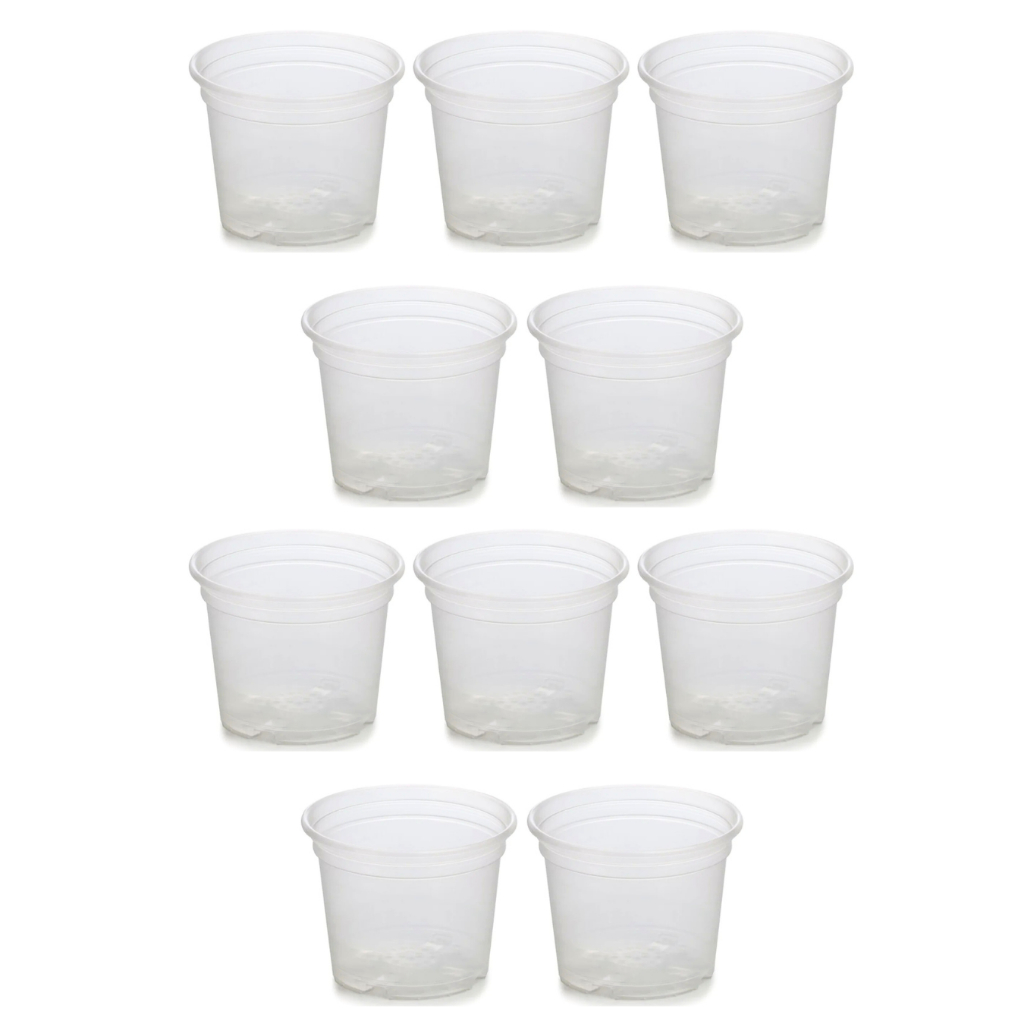 Kit 10 Vasos Transparentes Plástico Orquídea Adulta Pote 15