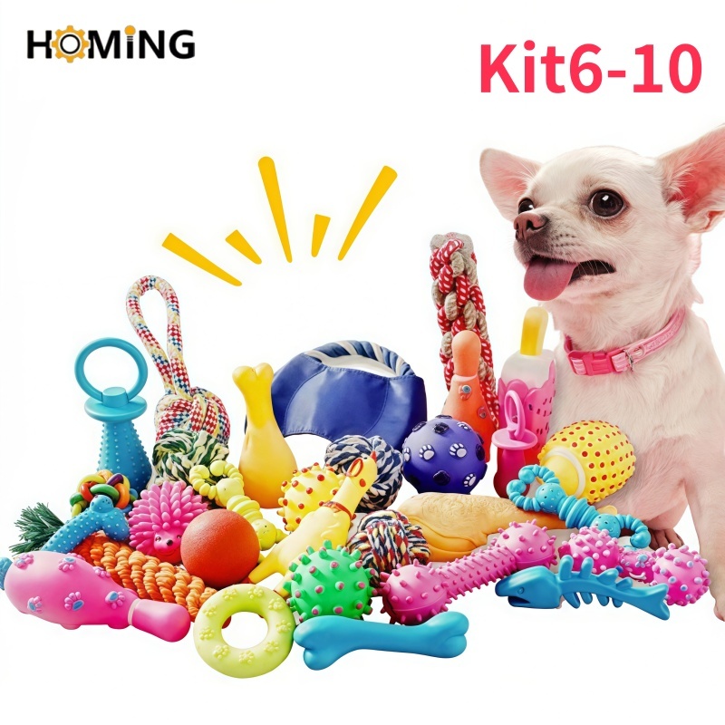 HOMING Kit 10 Brinquedos Mordedores para Filhote em Vinil e Corda Anti estresse Galinha Bola