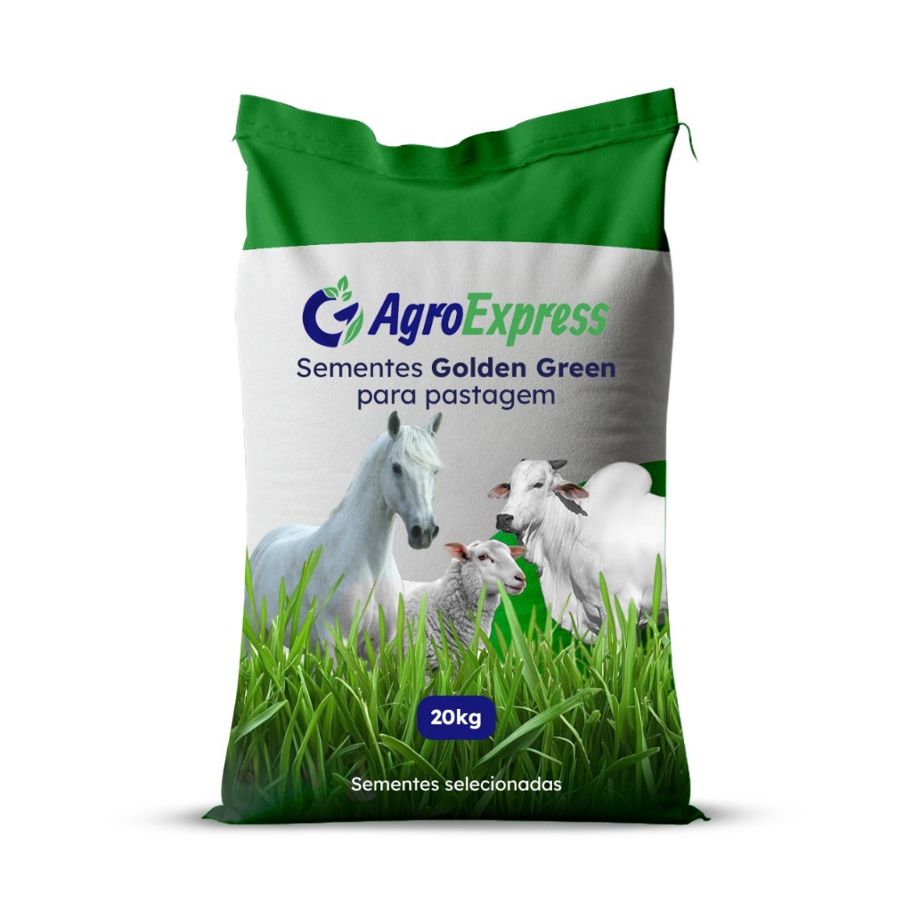 1 KG Sementes De Capim Massai