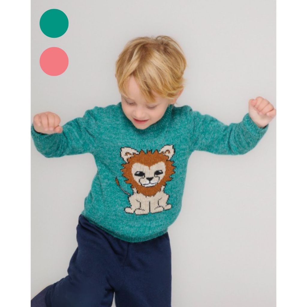 Suéter Blusa Tricô Infantil Menina e Menino Lã Quentinha Verde Coral Leão Inverno Tramadinhos Tricot