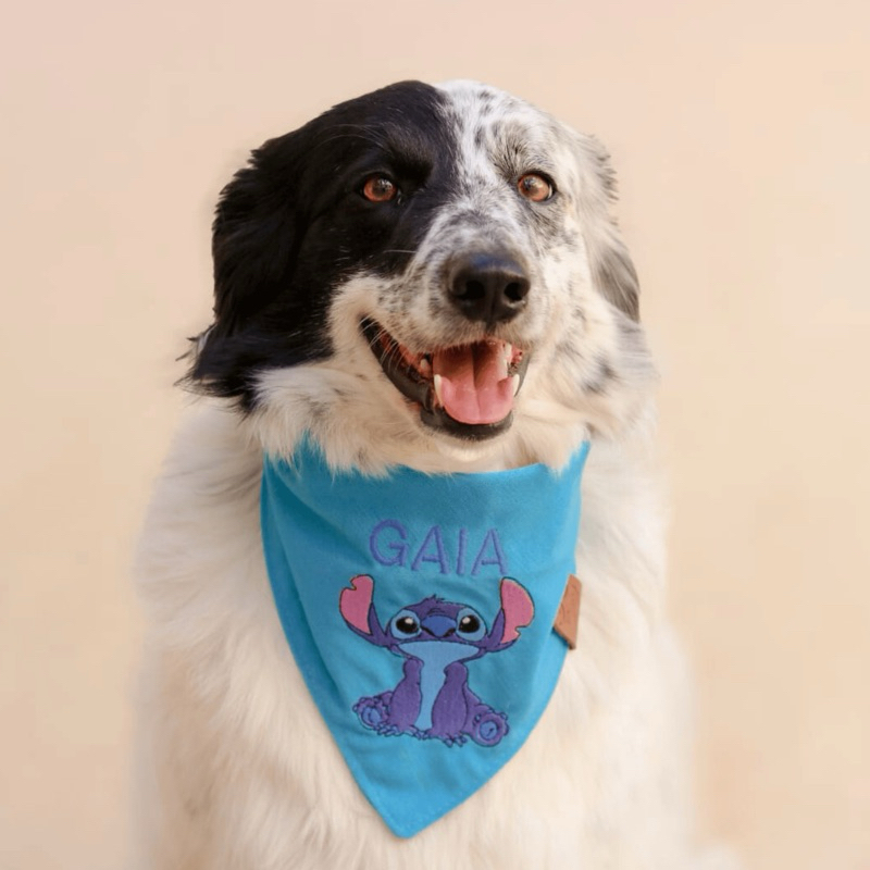 Bandana pet com bordado Stitch ou Angel - com nome bordado - Vários tamanhos P, M, U, G, GG, XG
