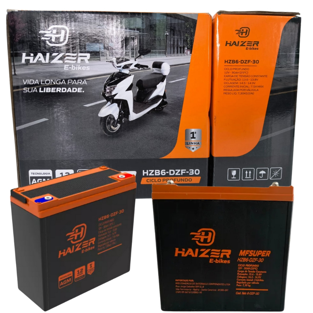 Bateria Cadeira De Rodas Motorizada 30ah Haizer 1 Ano Garantia