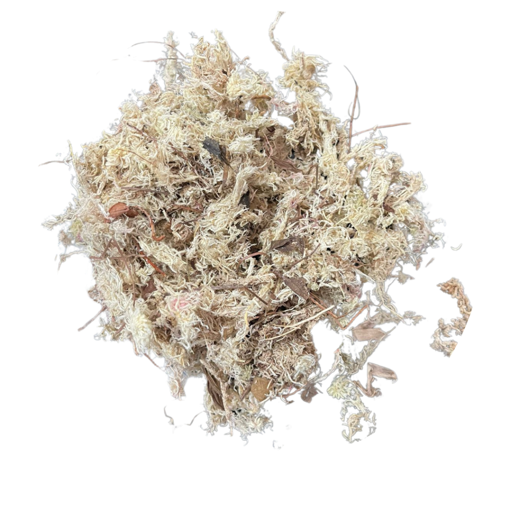 Musgo Sphagnum Sfagnum Esfagno- 10 LITROS - Para Orquídeas Kokedama Decoração Artesanato