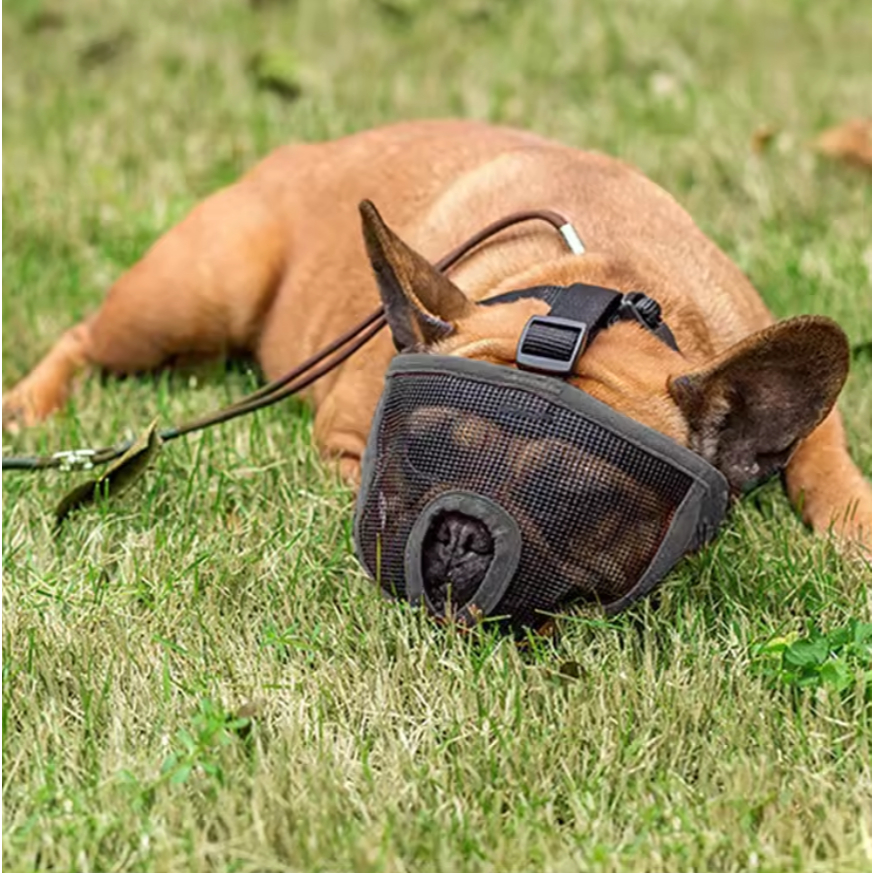 Focinheira p/ Cães de Focinho Curto Leve, Respirável e Reforçada Anti-Mordida Máscara Pet LR-0284