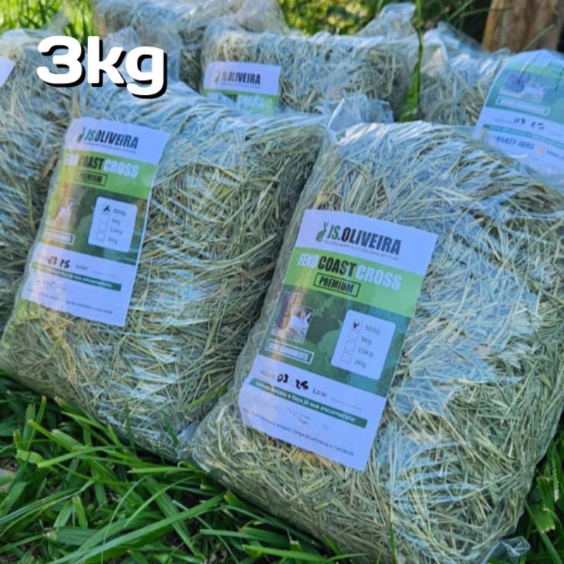 3kg Feno Tifiton Premium para coelhos, porquinho da índia...
