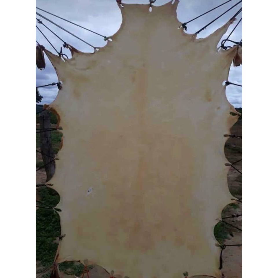 Couro Cru Carneiro Cabrito Pergaminho Lonca Tamanho P - 0,80 x 0,40