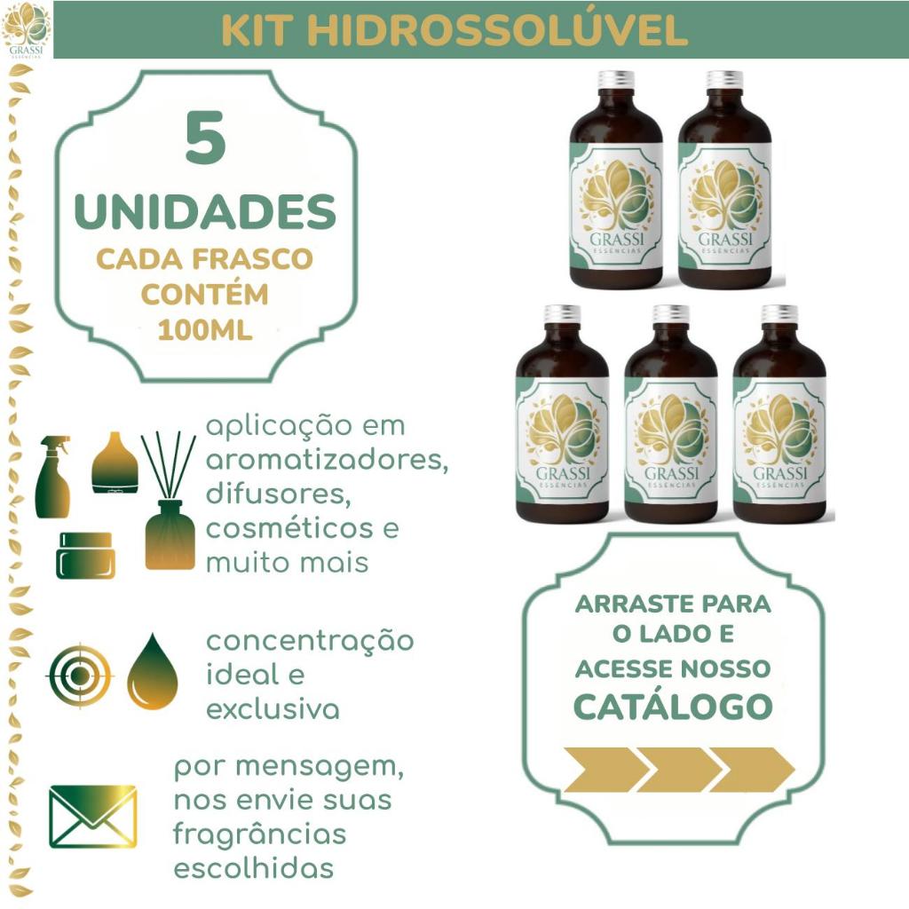 Kit 5 Essências Hidrossolúveis | + 200 Opções de Fragrâncias | 100ml por frasco | Escolhas via Chat