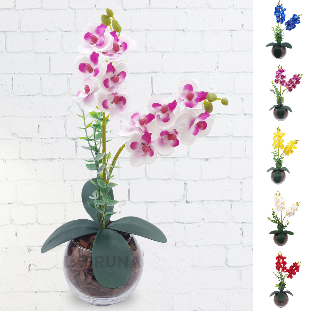 Arranjo Completo de Mini Orquidea com Vaso e Cascas de Pinus Natural