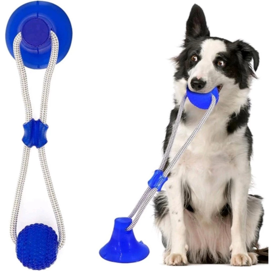 Brinquedo Mordedor Interativo Corda e Ventosa Gruda no chão Caes Cachorro Pet Grande Cabo de Guerra