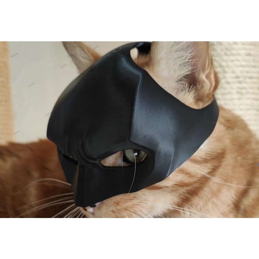 Batgato - Bat-cat Máscara divertida para Animais Cavaleiro das Trevas para Gatos