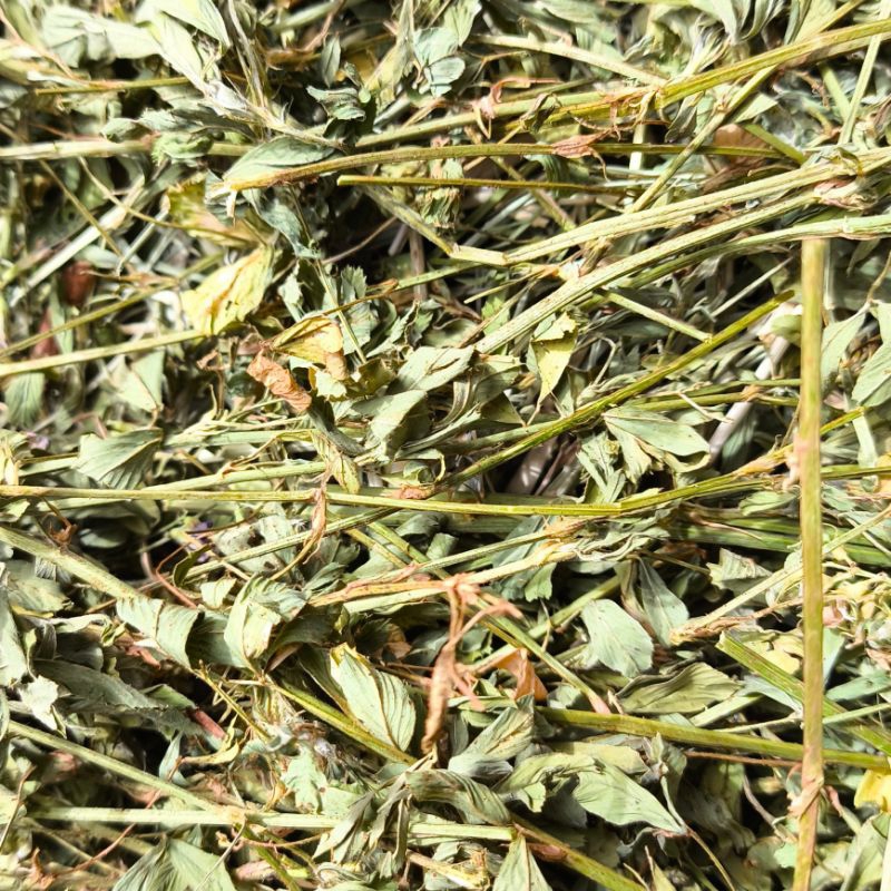 5kg de Feno de Alfafa.