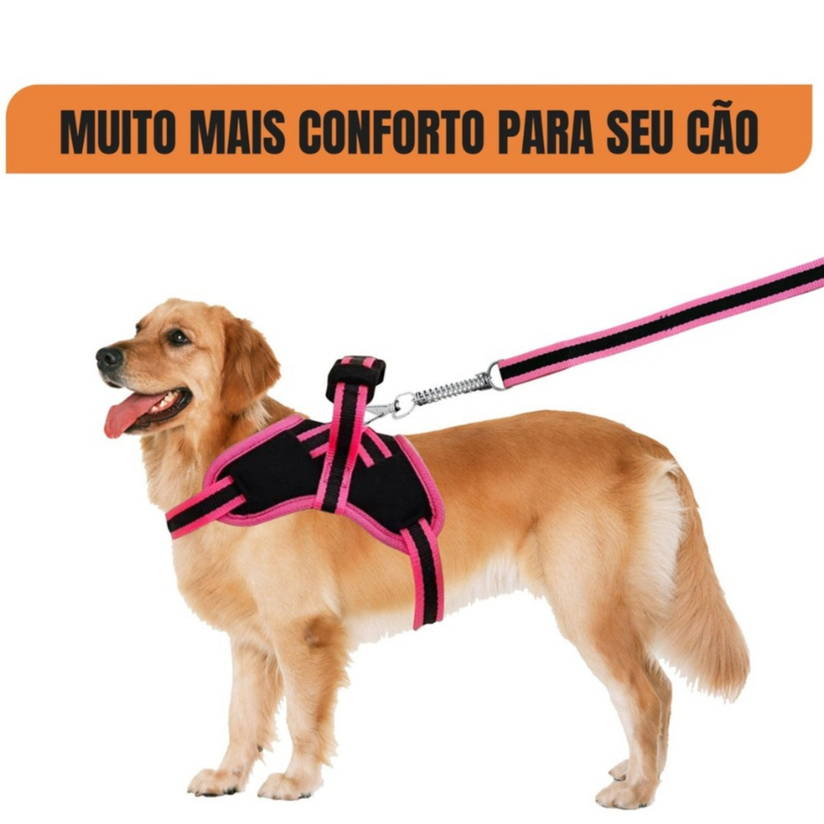 Peitoral Coleira Pitbull Pastor Alemão Rotwailler Reforçada Couro