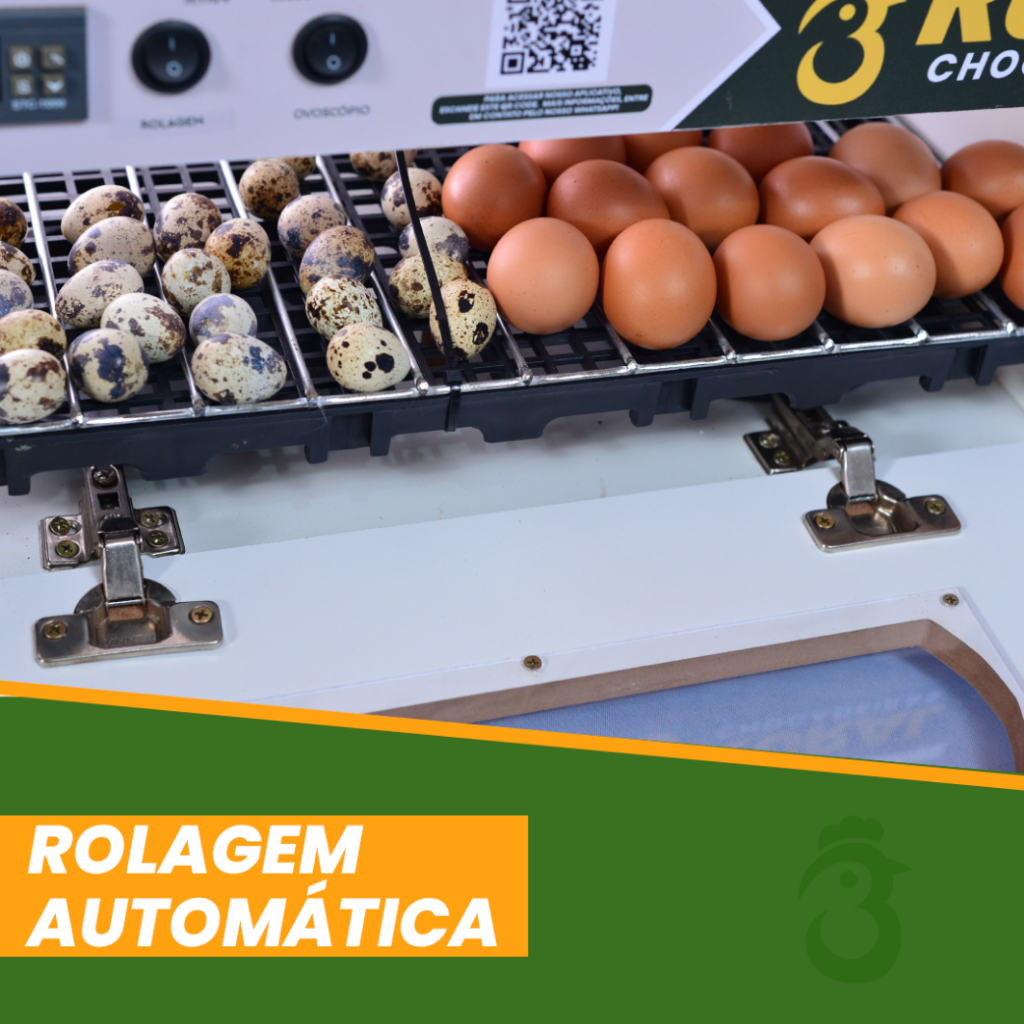 Chocadeira Elétrica 30 a 35 Ovos de Galinha ou 90 Ovos de Codorna + APP Bônus Atualizado