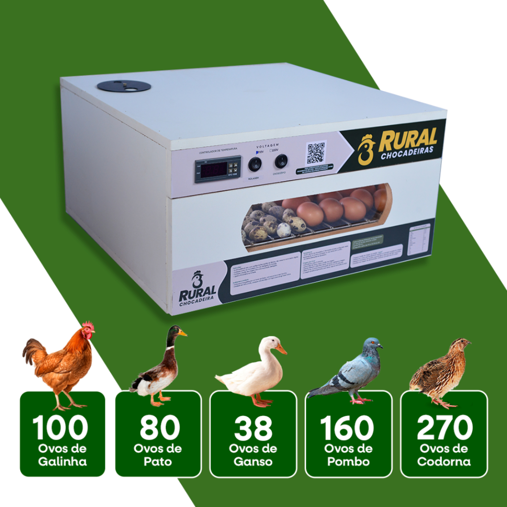 Chocadeira Automatica De Ovos 100 A 110 +ovoscopio+ APP de BÔNUS Atualizado