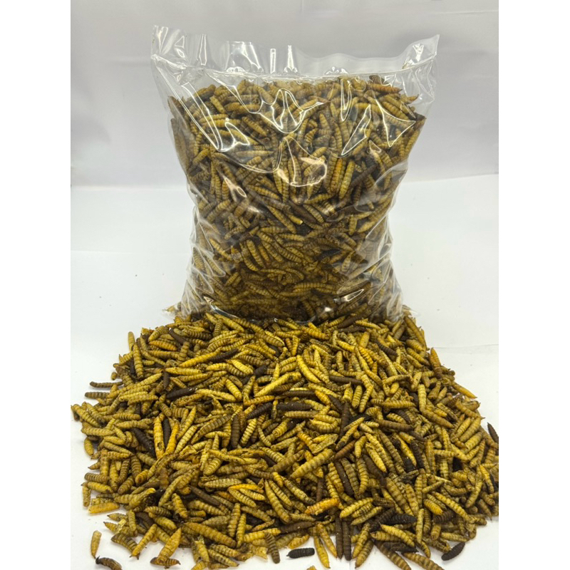 Tenébrio Desidratado Black Protein P/ aves Roedores Réptil 80g / 500g