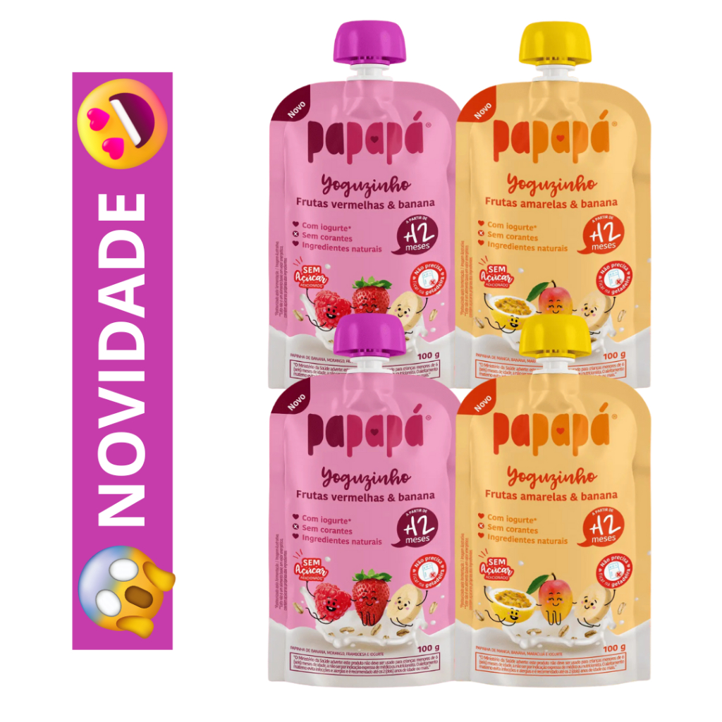 Papapa Kit 4un - 2 Sabores - Papinha Organica 100g