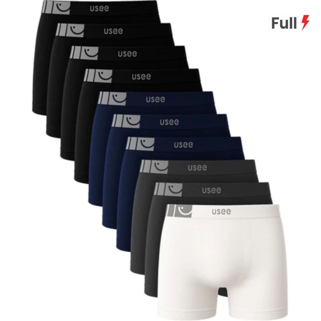 Kit 10 Cuecas Boxer Masculina Microfibra Sem Costura Premium Usee Brasil