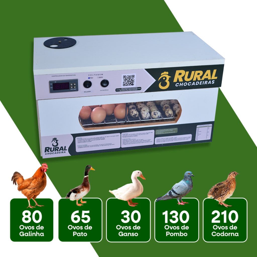Chocadeira Elétrica de 80 ovos de Galinha ou 150 ovos de Codorna + APP 2025