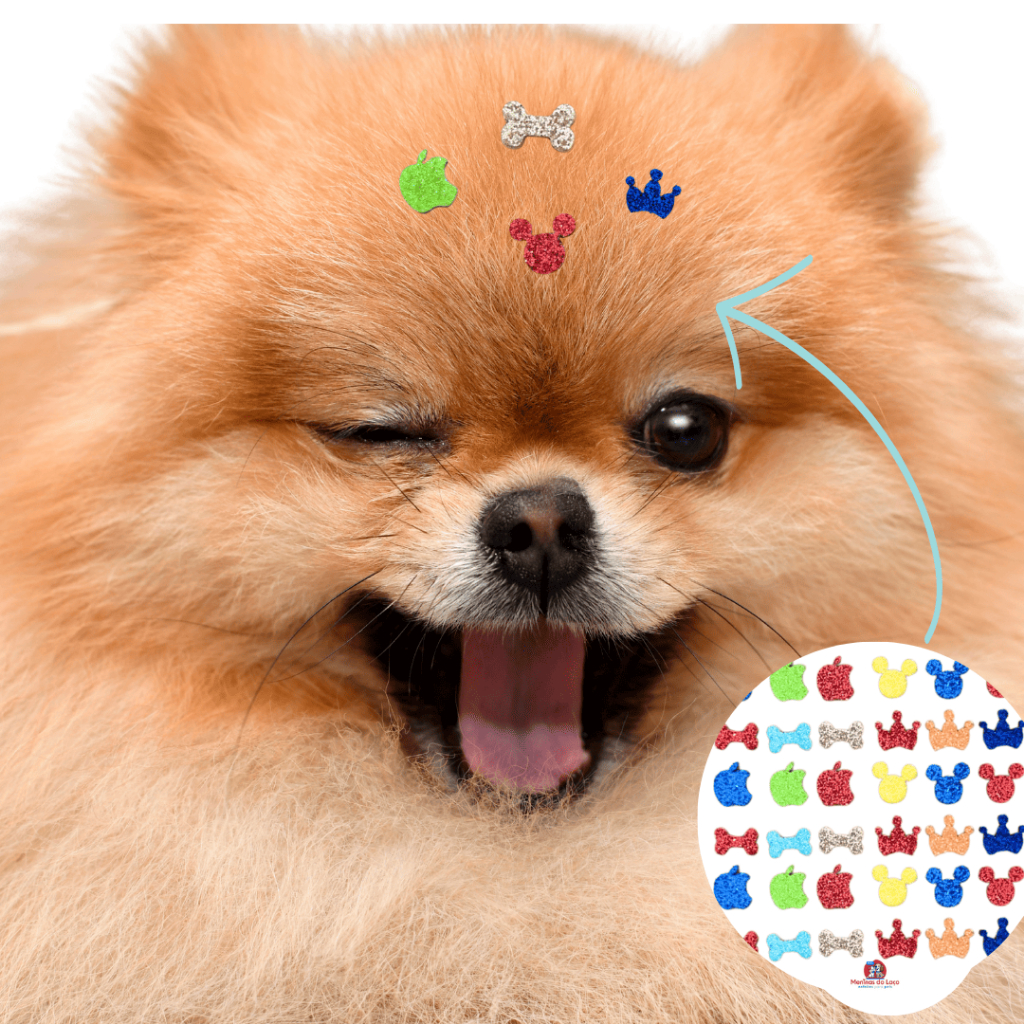 Kit de 200| 100 Mini Adesivos Macho - Pet - Cola importada