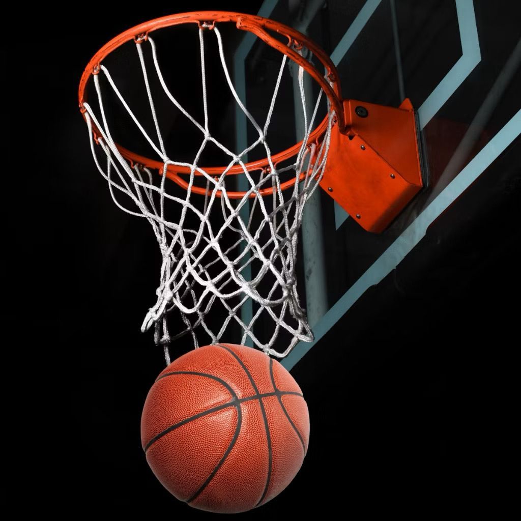 Cesta De Basquete Infantil Aro de Ferro Com Bomba e Bola, Kit Completo com rede, Bola, Infrator, Bucha para Ficção