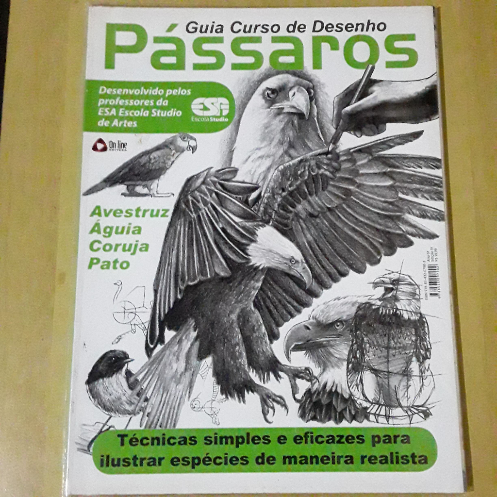 REVISTA GUIA CURSO DE DESENHO PÁSSAROS