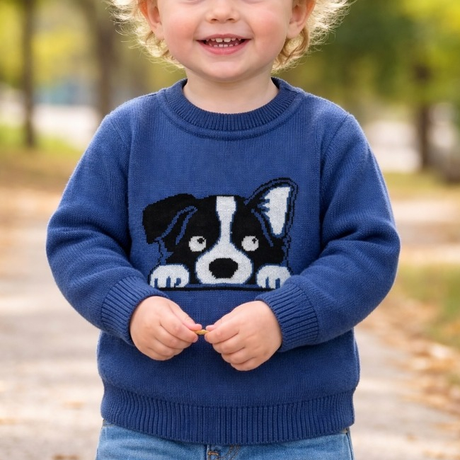 Blusa suéter Cachorrinho infantil ticot menino trico