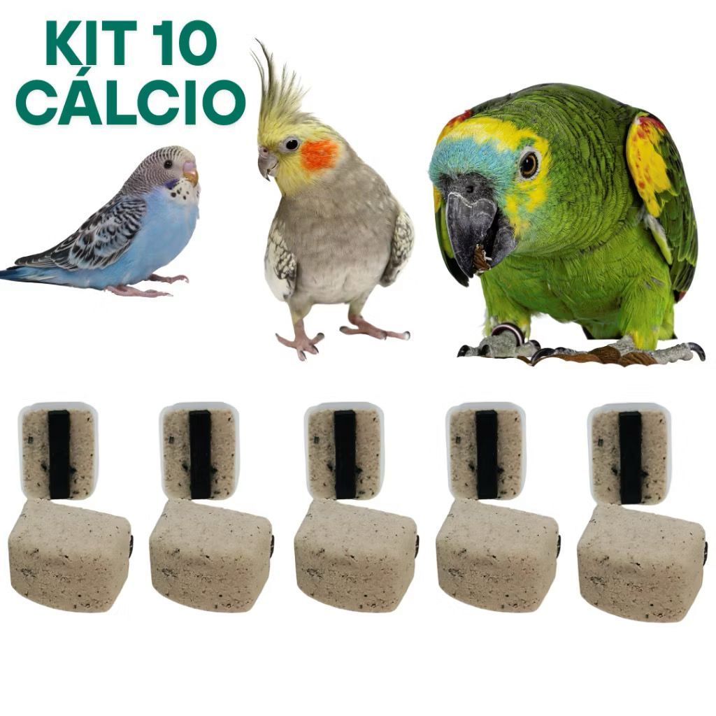 Kit Pedra Cálcio Passaros Calopsita Periquito Papagaio Aves Suplemento Mineral Digestão Bico Forte