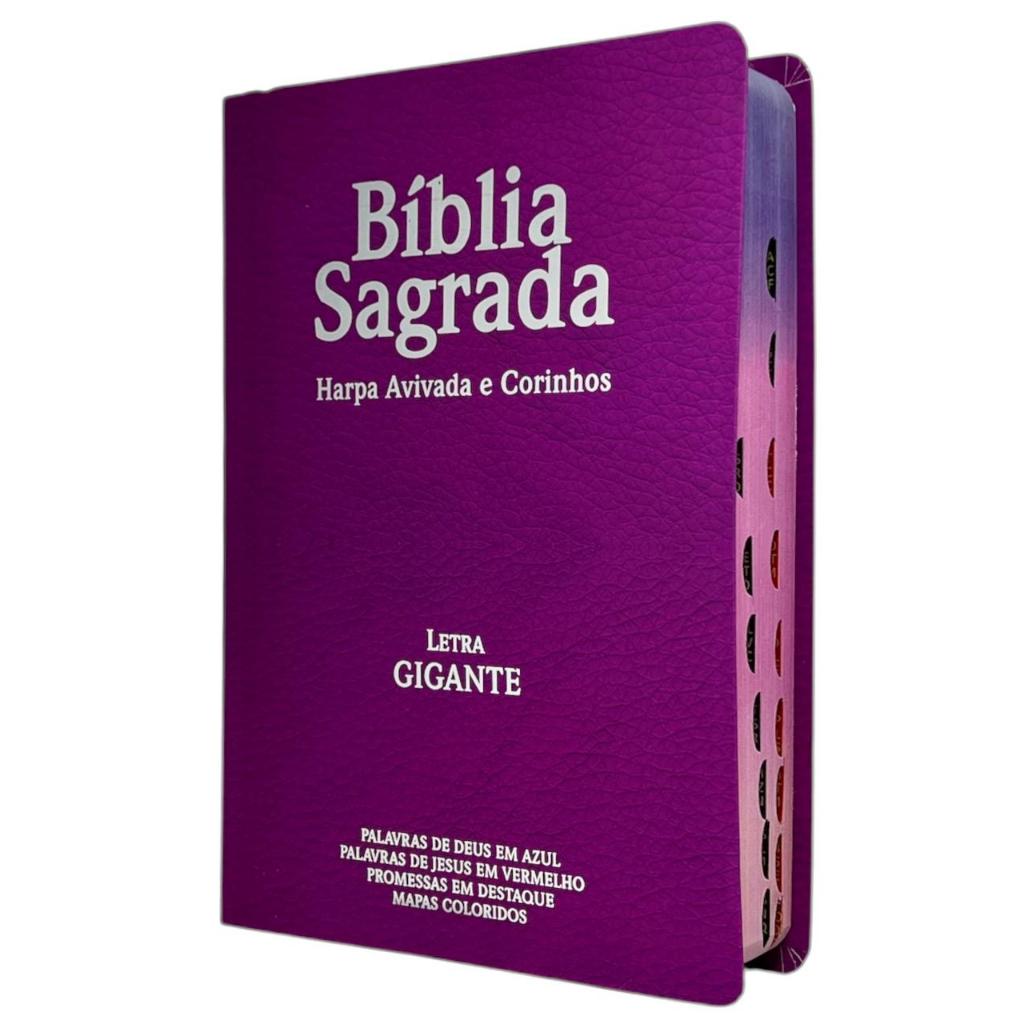 Bíblias Cristã Letra Gigante Capa Semiflexível Cor Pink Arc Com Harpa e Índice PPM Para Mulher