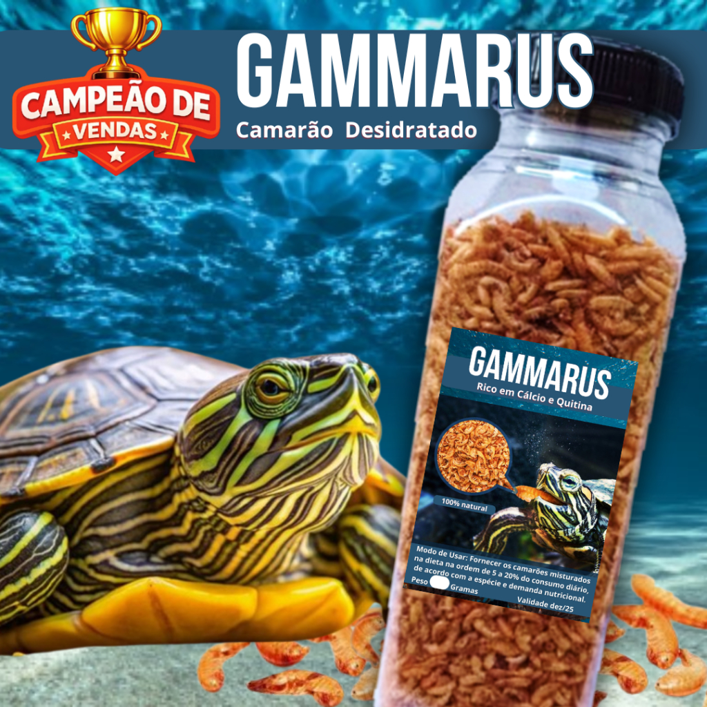 Camarão Gammarus Pote 250ml/30g, 500ml/60g - Jabuti Rico em Cálcio Quitina - camarão para tartaruga