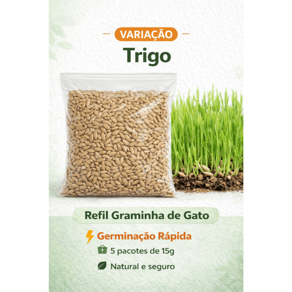 Sementes Graminha de Gato 5x15g Aveia Centeio Trigo Antibola de Pelo Refil